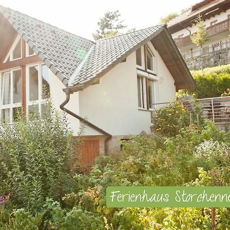 Ferienwohnung Storchennest Mit E-Ladestation Валдсхут-Тинген Екстериор снимка
